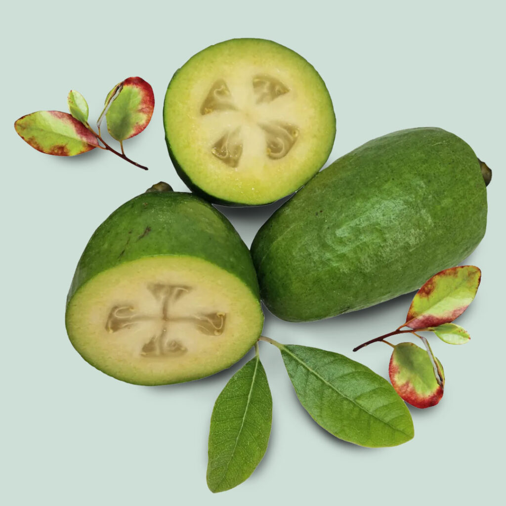 Feijoas